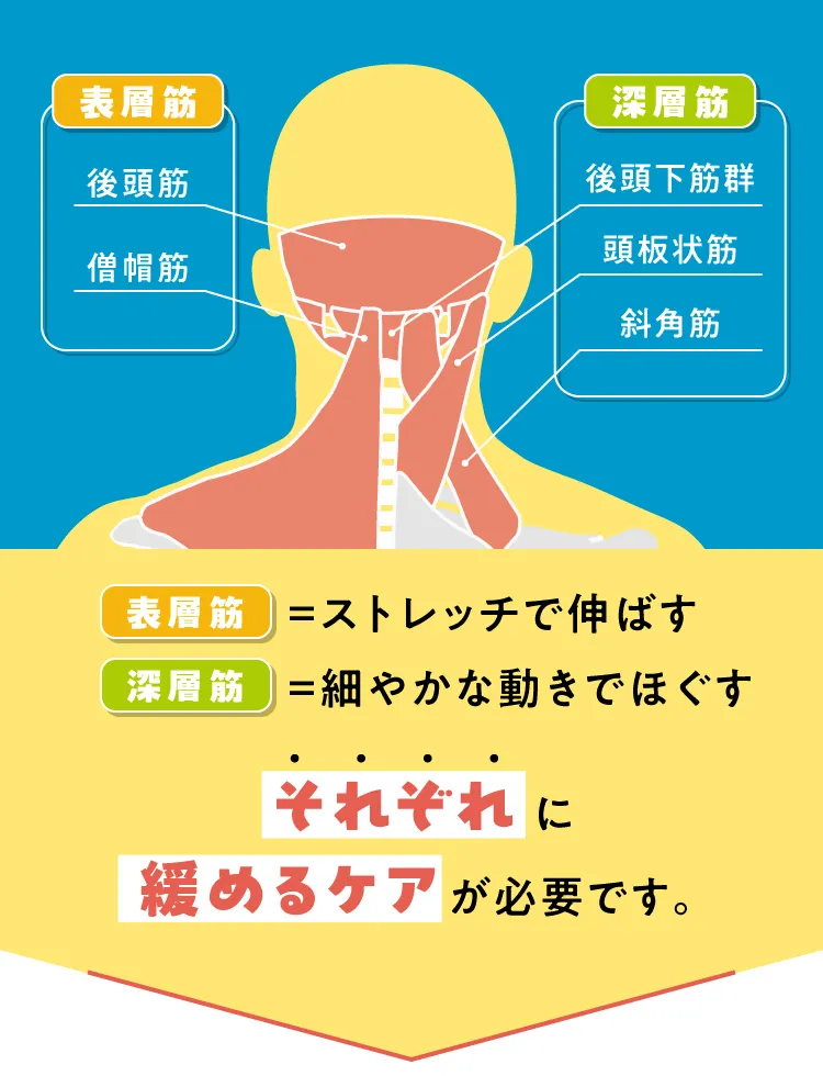 表層筋はストレッチで伸ばし、深層筋は細やかな動きでほぐす、それぞれ緩めるケアが必要です。