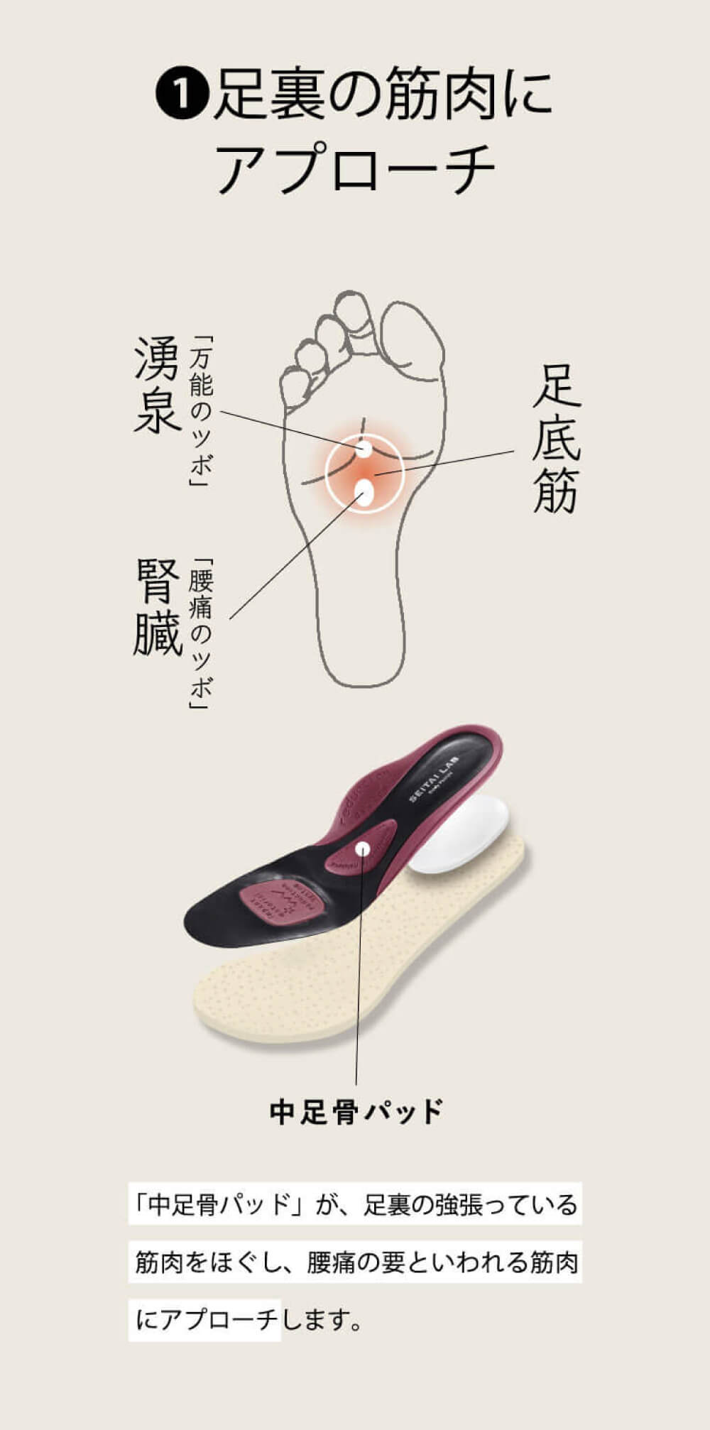 足裏の筋肉にアプローチ