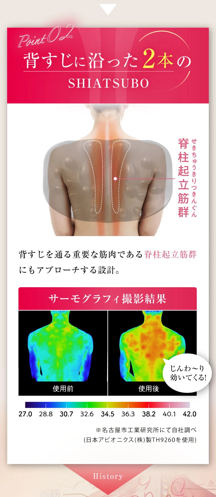 ポイント２　背筋に沿った２本のシアツボ