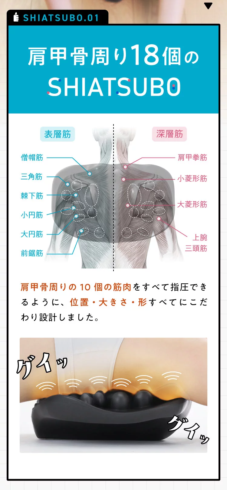 背筋を通る脊柱起立筋群にもアプローチする設計