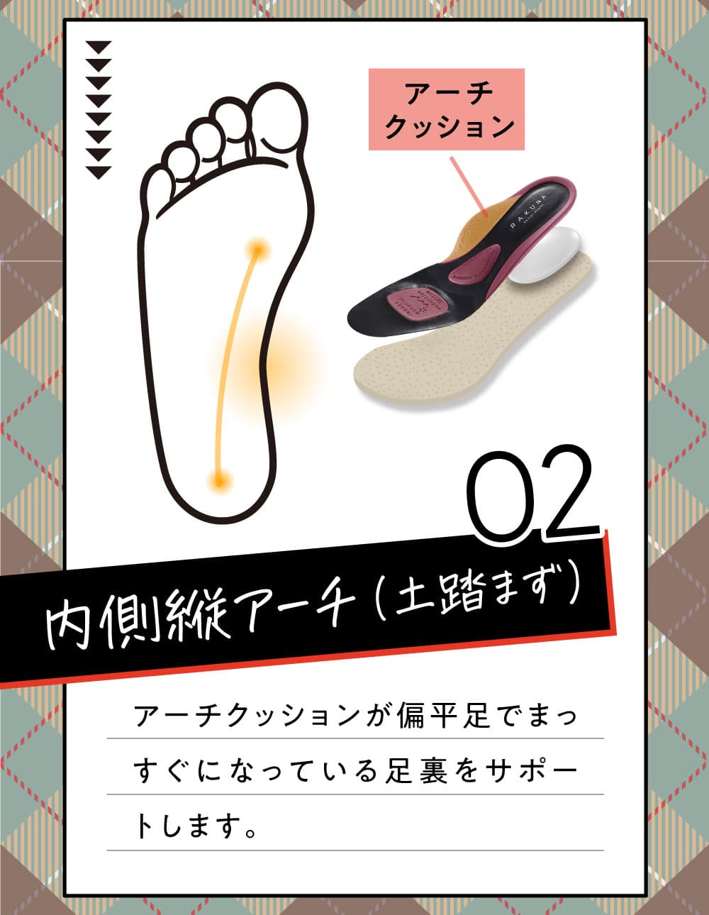 内側縦アーチ