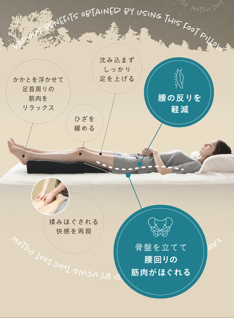 腰の反りを軽減、自然なカーブで腰回りの筋肉がほぐれる