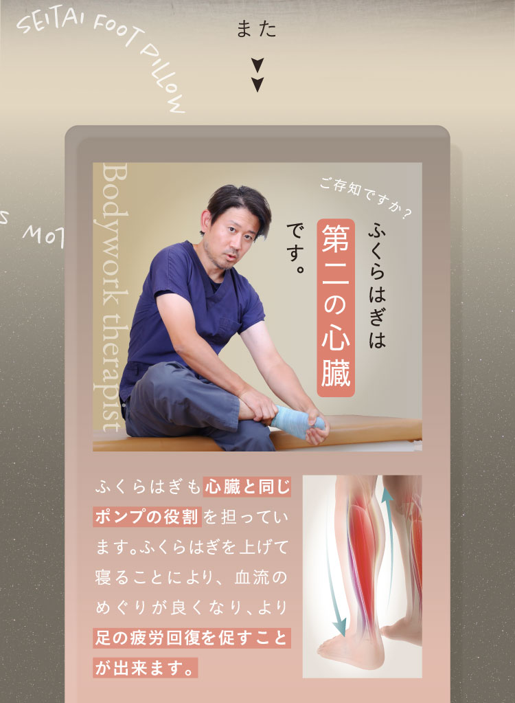 ふくらはぎは第二の心臓です