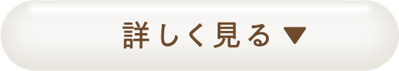 もっと詳しく見る