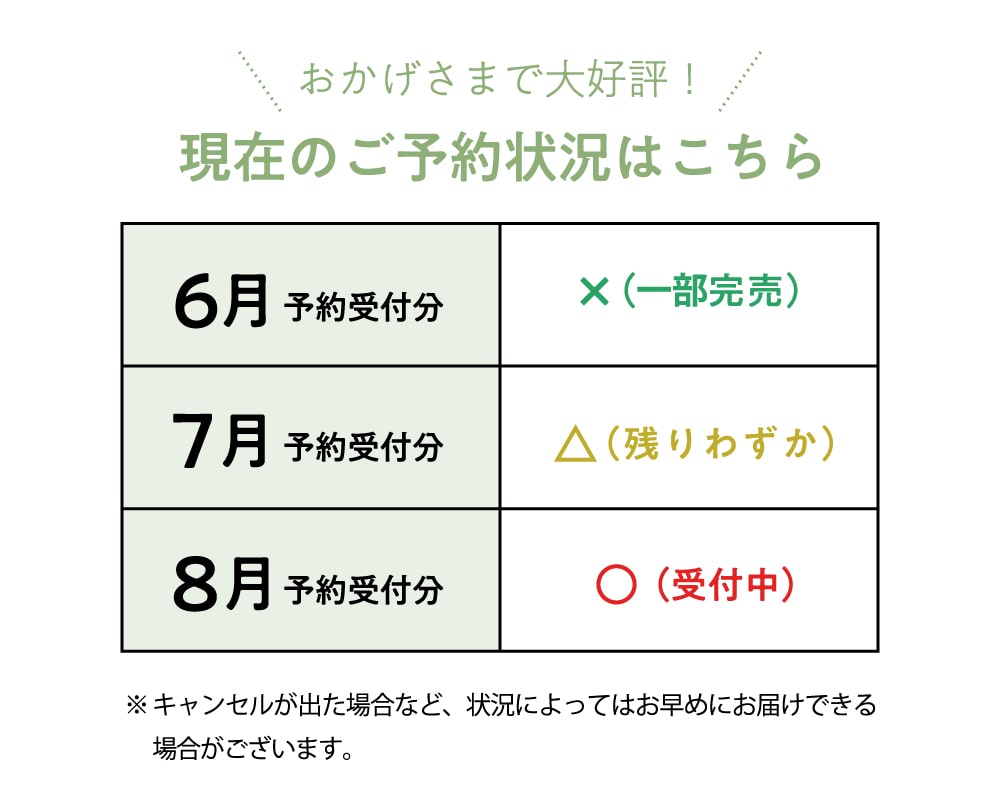 整体パンプスベーシック 商品詳細