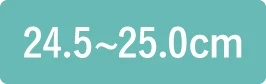 24.5〜25.0cm