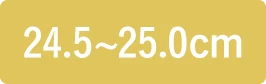 24.5〜25.0cm
