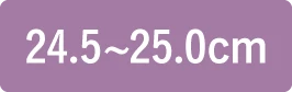 24.5〜25.0cm