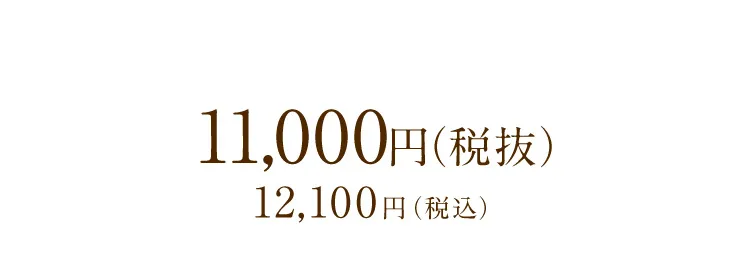 整体スニーカー（スリッポン） 商品価格