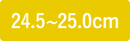 24.5〜25.0cm