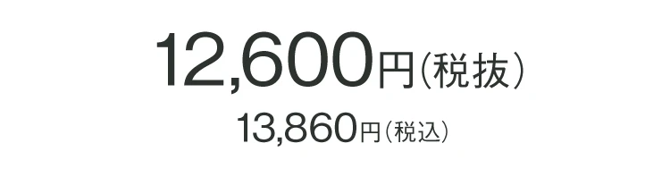 整体スニーカー2 商品価格
