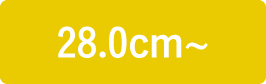 28.0〜29.0cm