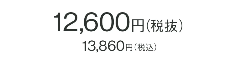 整体スニーカー2 スポーティタイプ 商品価格