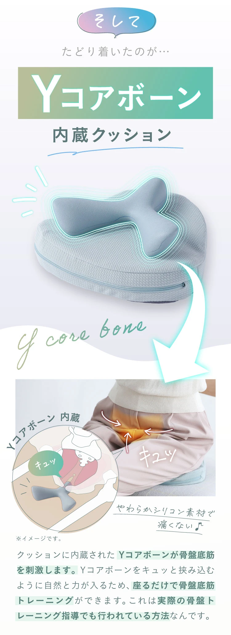 骨盤底筋クッション Yコア sara24 (サラニーヨン) | amepla