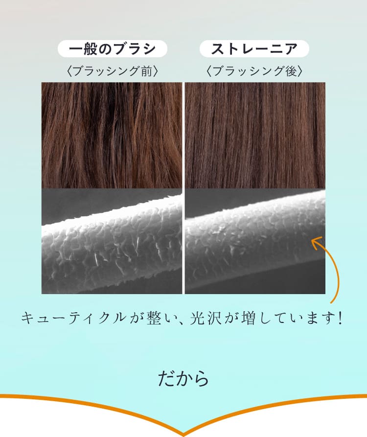 ケアストレートブラシ （ストレートセラムトライアル3包付き） strainia (ストレーニア)| 予約商品（5月下旬より順次発送） amepla