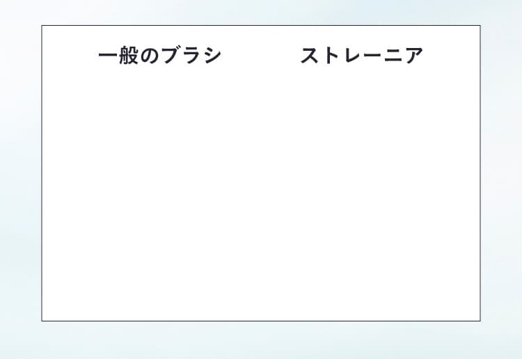 一般のブラシとストレーニア比較