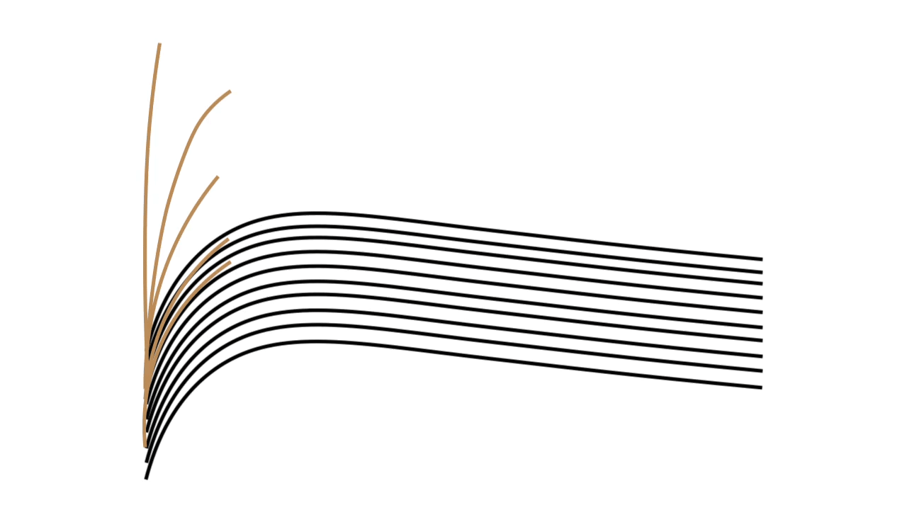 アホ毛を1本1本キャッチ