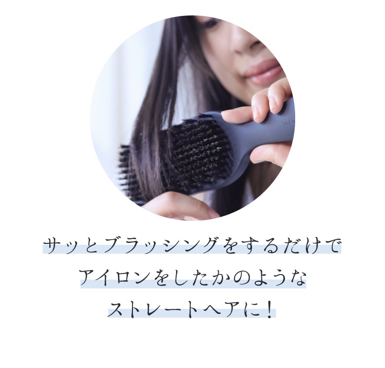 ストレーニア ケアストレートブラシ+oleiroalvesimoveis.com.br