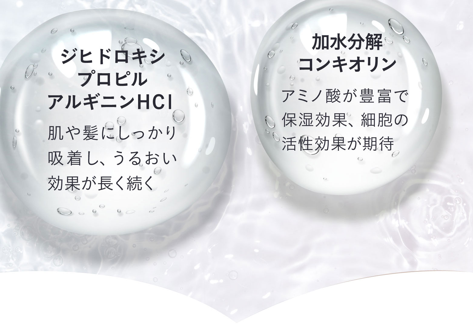 ジヒドロキシプロピルアルギニンHCI 加水分解コンキオリン