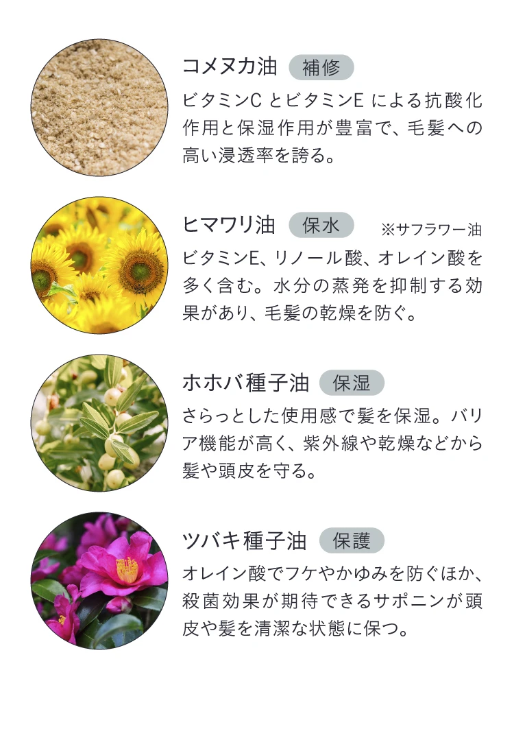 コメヌカ油 ヒマワリ油 ホホバ種子油 ツバキ種子油