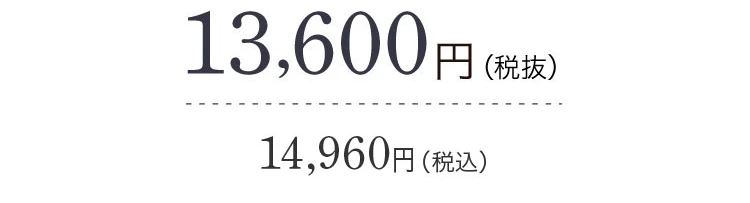 ケアストレートオイル+ケアストレートブラシ 価格