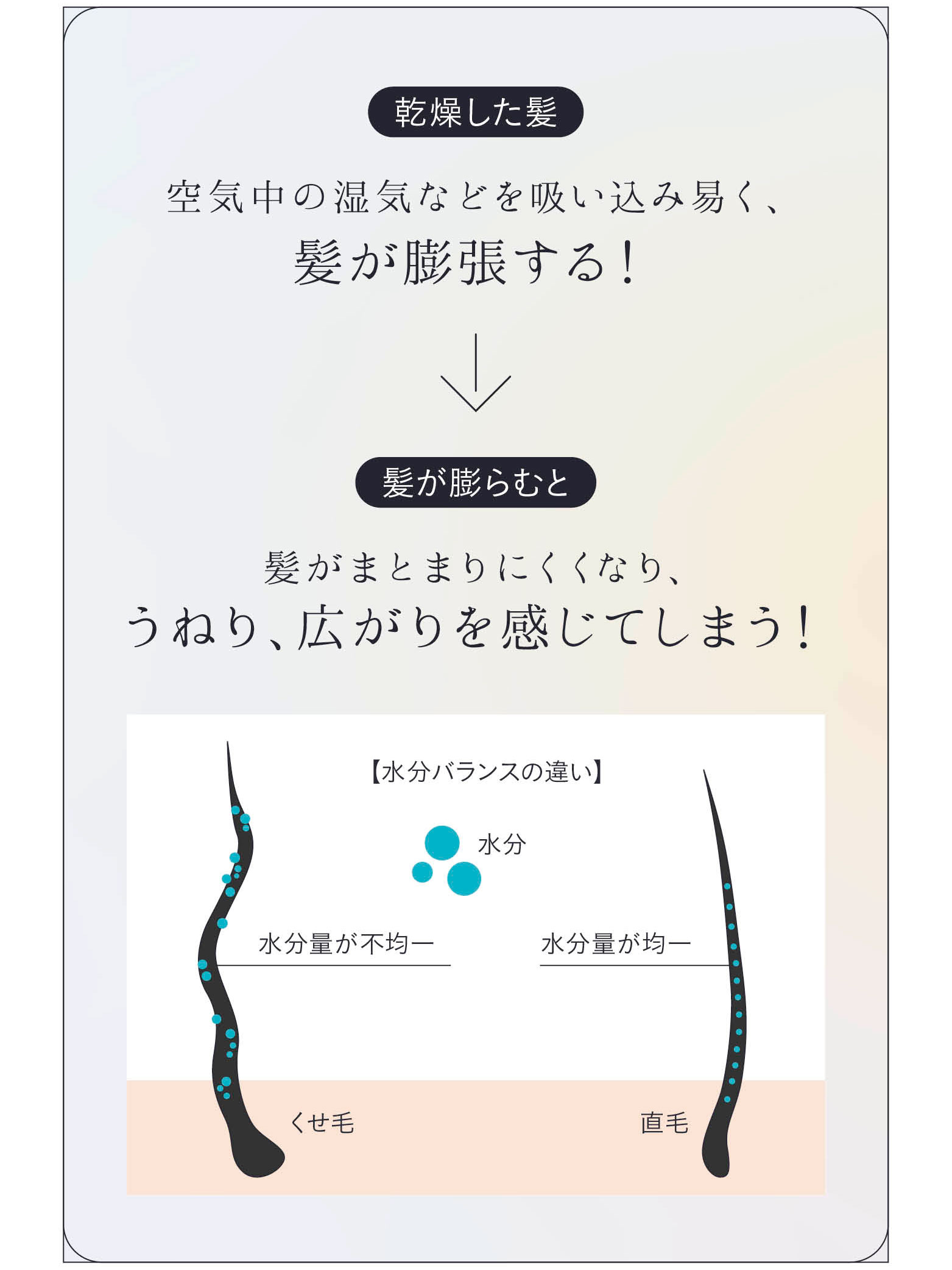 乾燥した髪　空気中の湿気などを吸い込み易く、髪が膨張する！髪が膨らむと髪がまとまりにくくなり、うねり、広がりを感じてしまう！