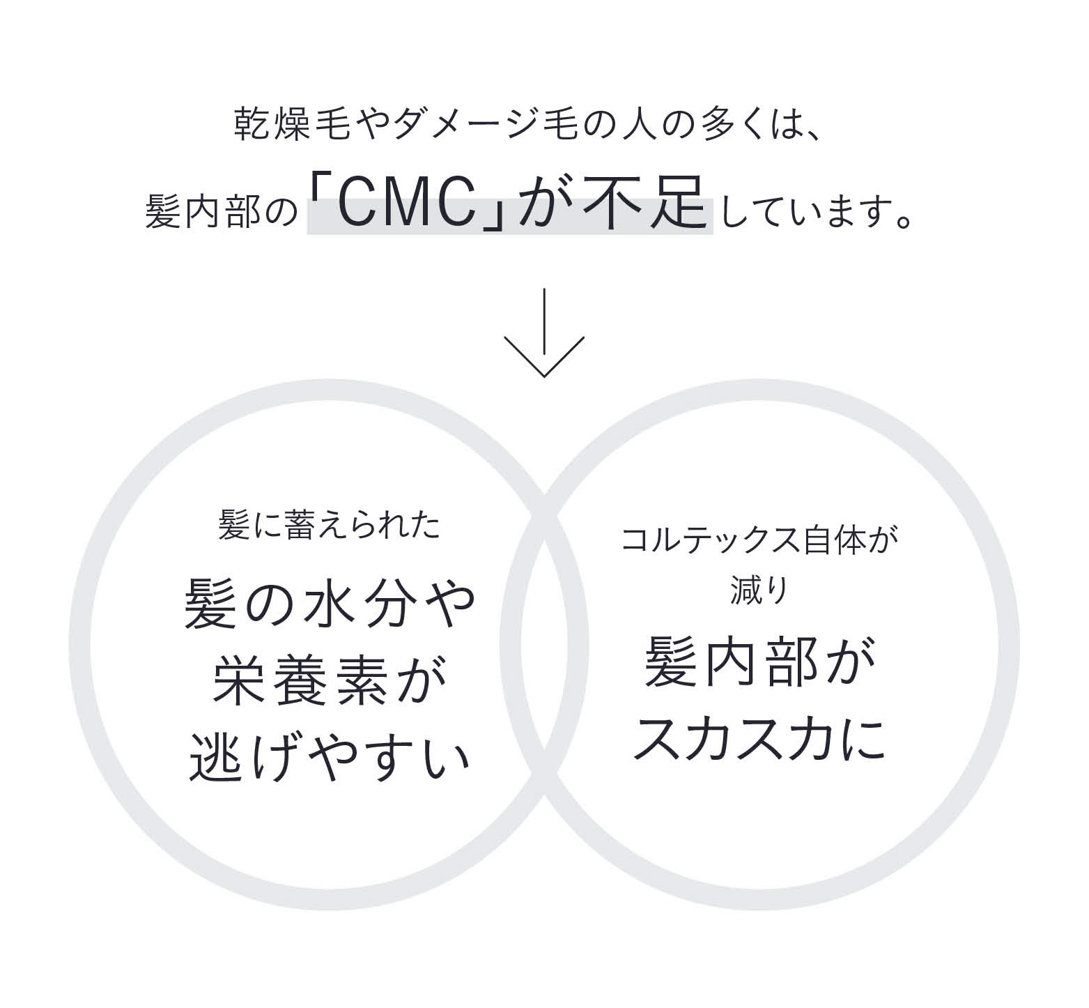 乾燥毛やダメージ毛の人の多くは、髪内部の「CMC」が不足しています。　髪に蓄えられた髪の水分や栄養素が逃げやすい　コルテックス自体が減り髪内部がスカスカに