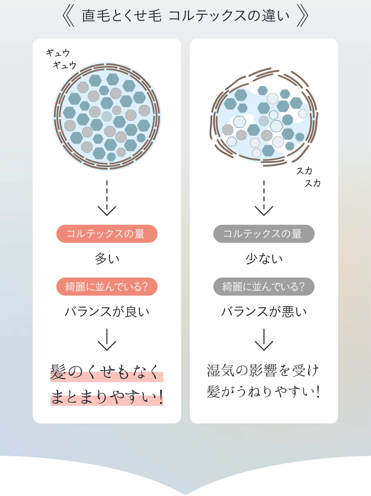 直毛とくせ毛 コルテックスの違い