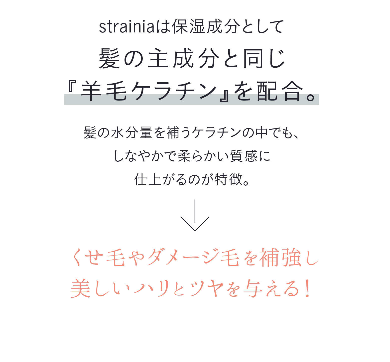 strainiaは保湿成分として髪の主成分と同じ『羊毛ケラチン』を配合。髪の水分量を補うケラチンの中でも、しなやかで柔らかい質感に仕上がるのが特徴。くせ毛ゃダメージ毛を補強し美しいハリとツヤを与える！