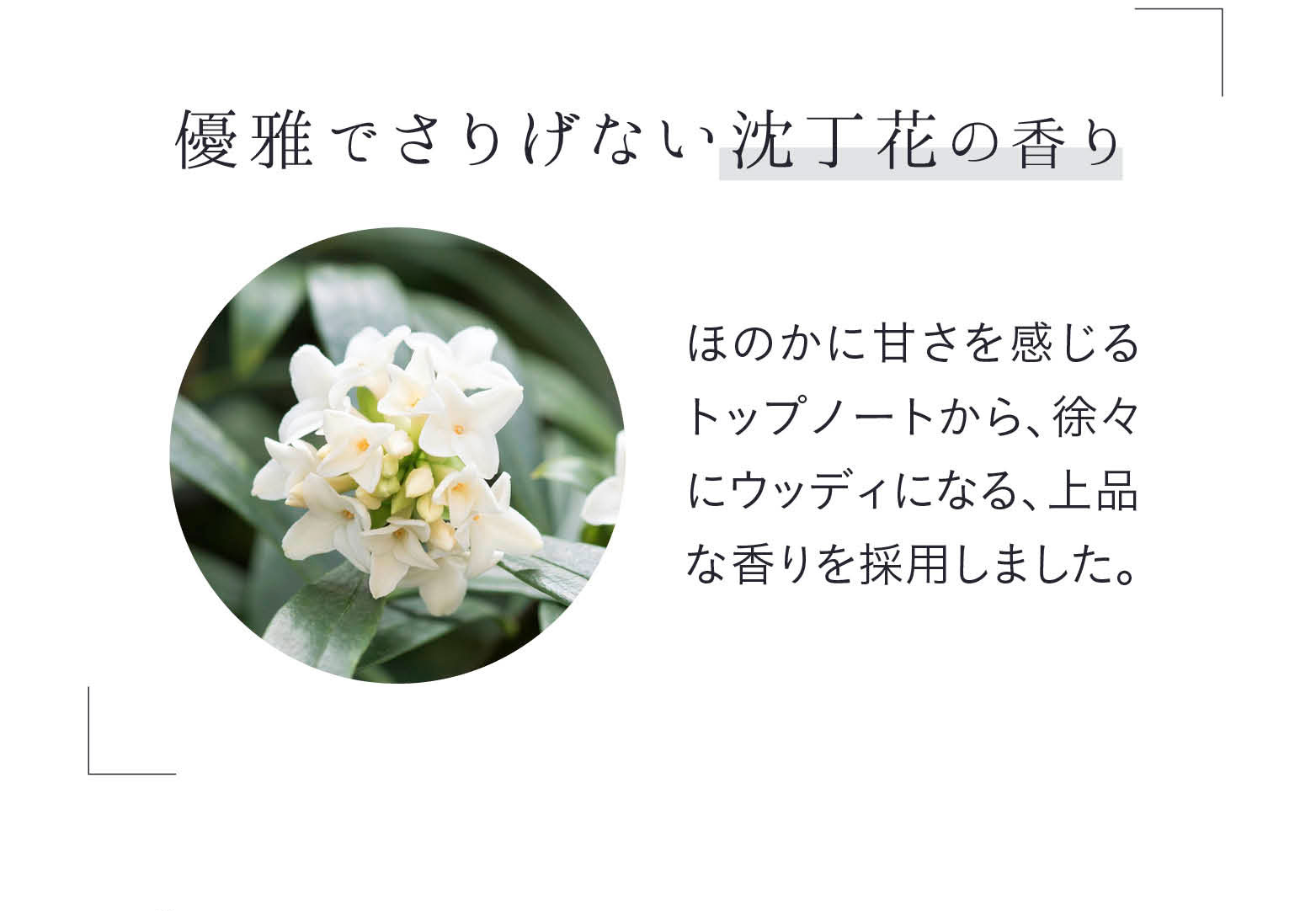 優雅でさりげない沈丁花の香り　のかに甘さを感じるトップノートから、余々にウッディになる、上品な香りを採用しました。