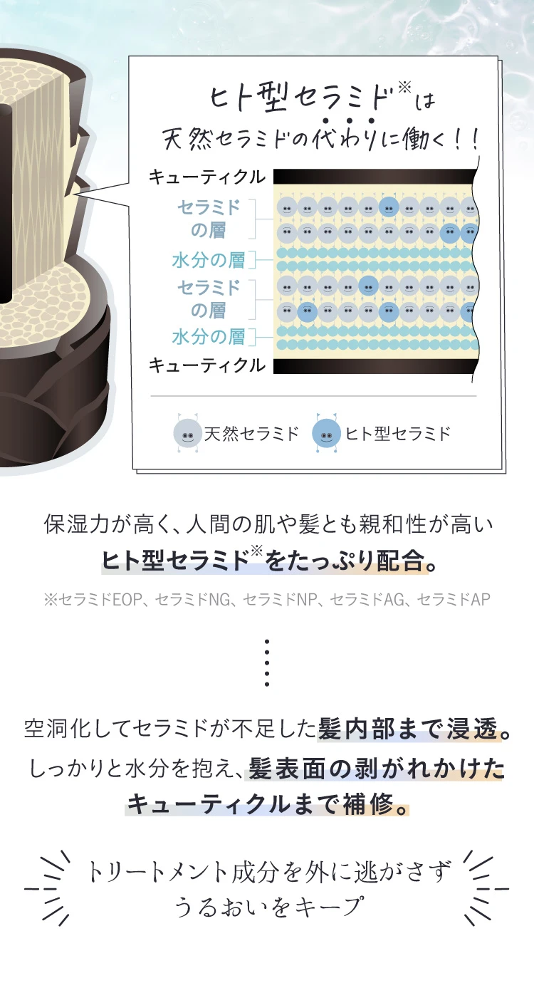 保湿力が高く、人間の肌や髪とも親和性が高い「ヒト型セラミド」をたっぷり配合。空洞化してセラミドが不足した髪内部まで浸透。髪表面の剥がれたキューティクルまで補修。