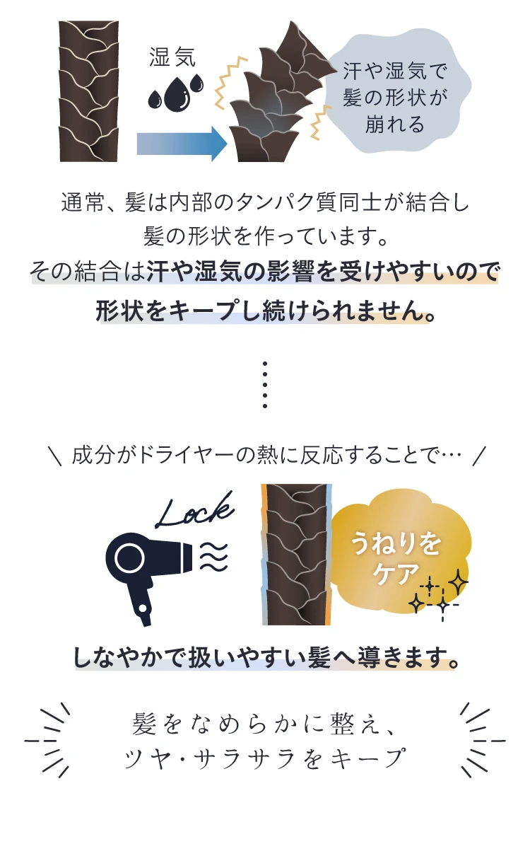 成分がドライヤーの熱に反応すると形状を記憶。うねりをケアし、しなやかで扱いやすい髪へ導きます。