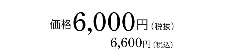 価格 6,000円(税抜)6,600円（税込）