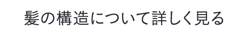 もっと詳しく見る