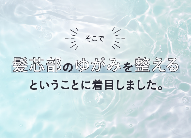 そこで　髪芯部のゆがみを整えるということに着目しました。