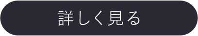 もっと詳しく見る