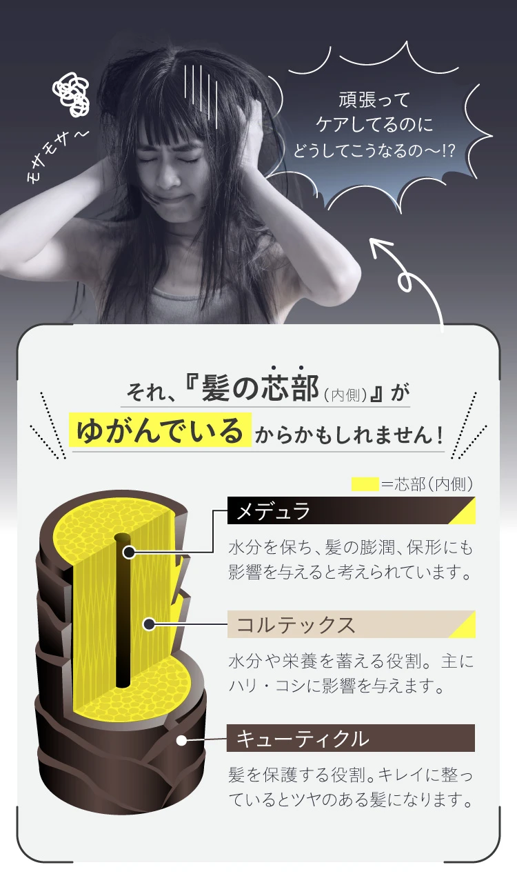 髪の芯部がゆがんでいるからかも？