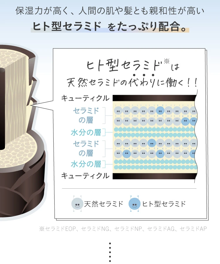 保湿力が高く、人間の肌や髪とも親和性の高い人型セラミドをたっぷり配合