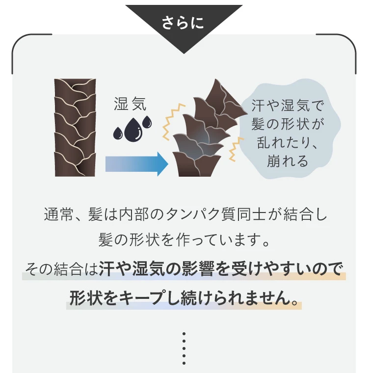 通常の髪は汗や湿気の影響を受けやすく、形状キープが難しい