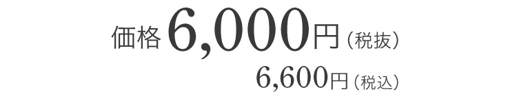 価格 6,000円(税抜)6,600円（税込）