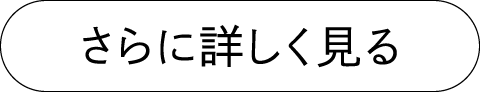 さらに詳しく見る（商品ページに遷移します）
