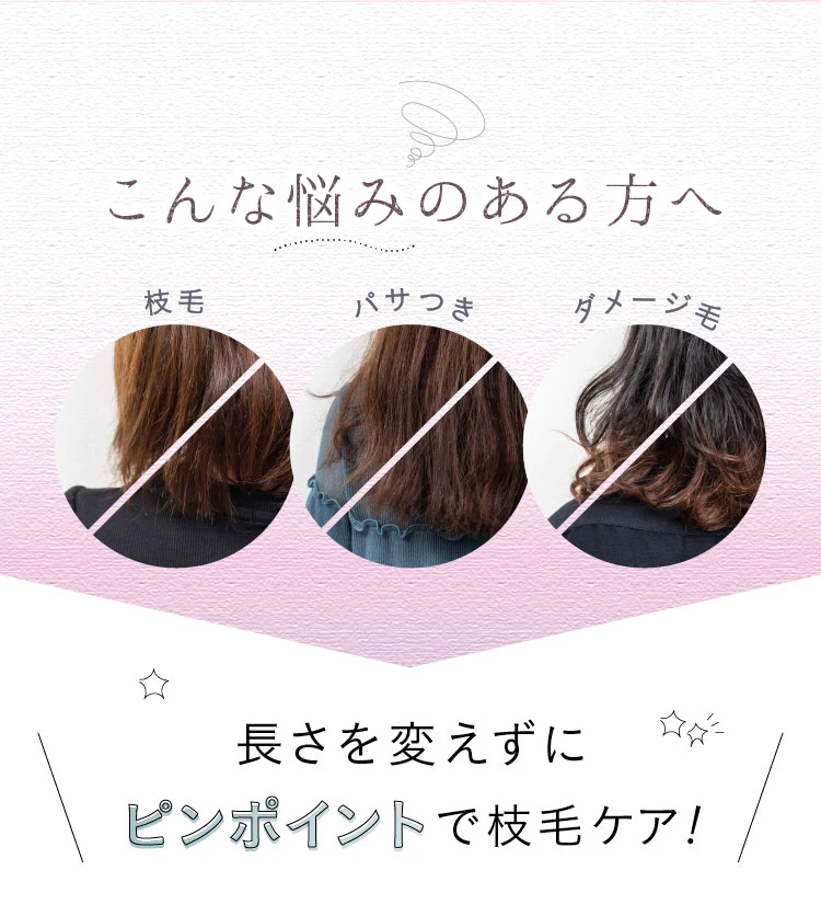 枝毛・パサつき・ダメージ毛 こんな悩みのある方へ 長さを変えずにピンポイントで枝毛ケア