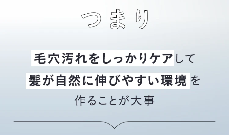 つまり、毛穴汚れをしっかりケアして髪が自然に伸びやすい環境を作ることが大事