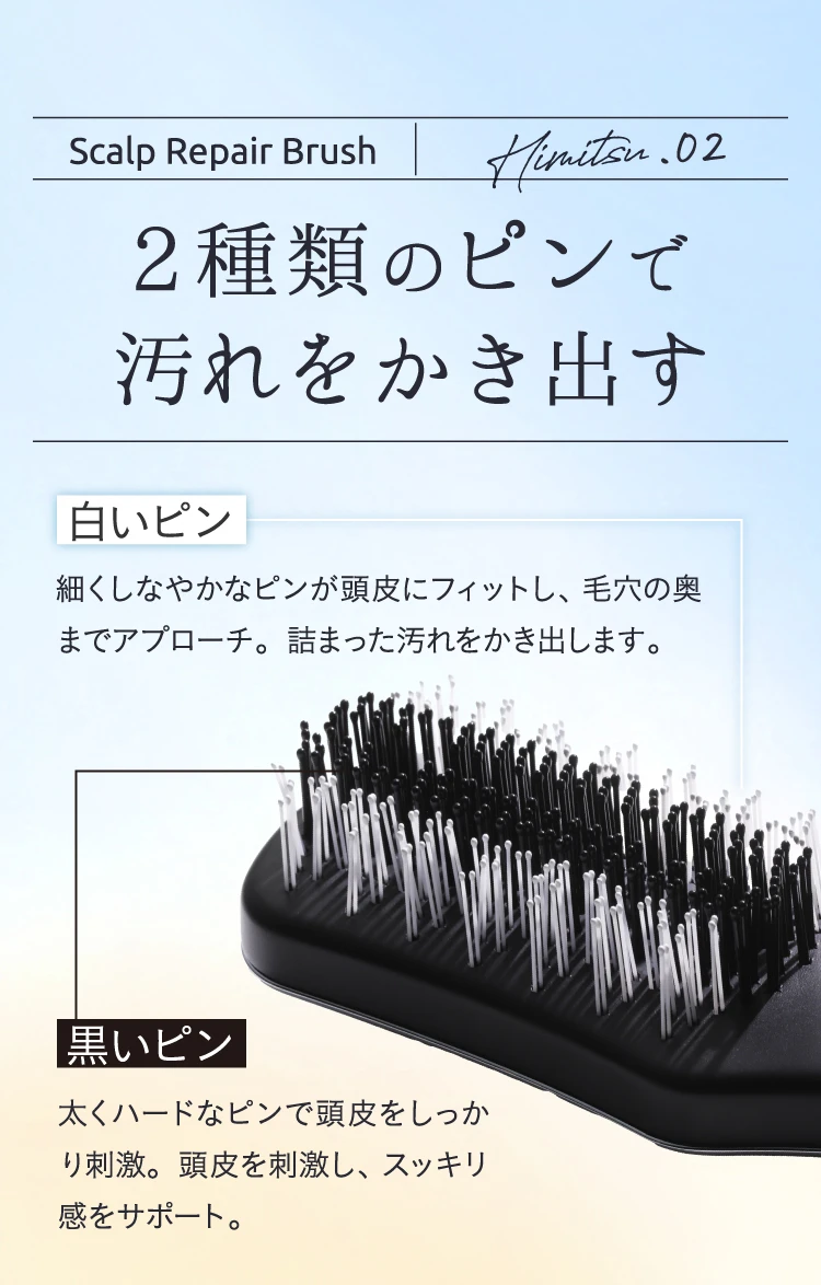 Himitsu.02 2種類のピンで汚れをかき出す