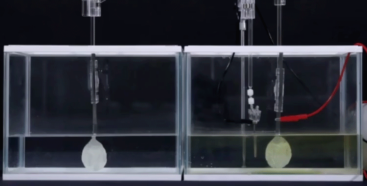 マヨネーズを使った分解実験 gif