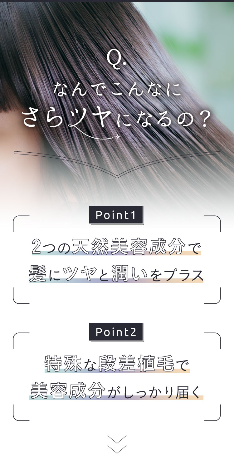 なんでこんなに
  さらツヤになるの?　2つの天然美容成分で髪にツヤと潤いをプラス　特殊な段差植毛で美容分がしっかり届く