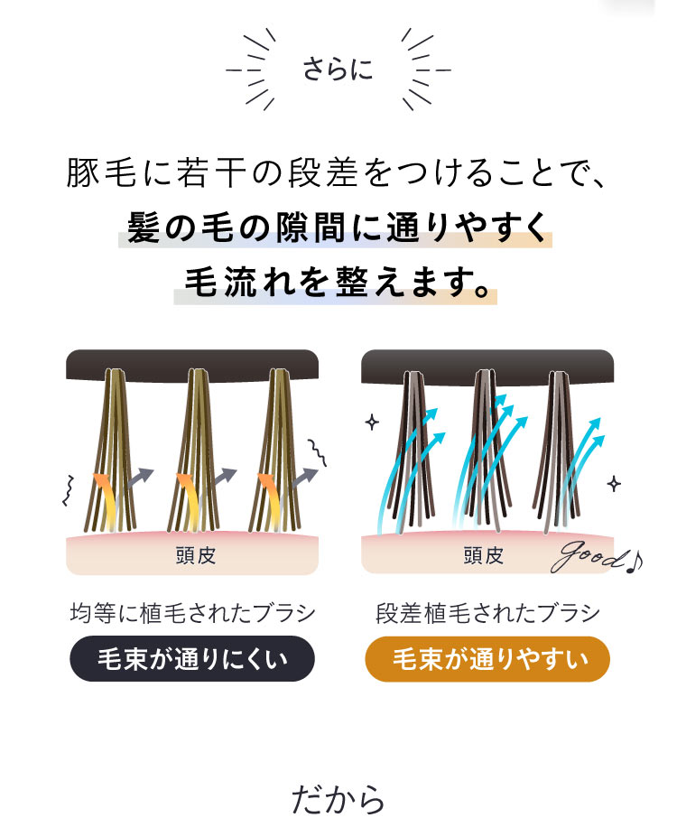 さらに、豚毛に若干の段差をつけることで、髪の毛の隙間に通りやすく毛流れを整えます。