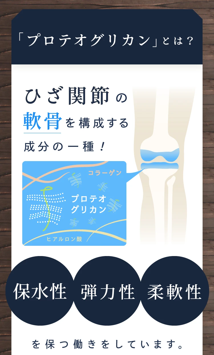 ピロテオグリカンは、ひざ関節の軟骨を構成する成分の一種！