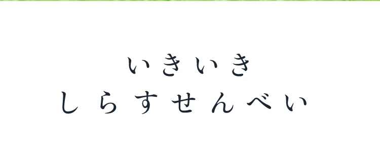 いきいきしらすせんべい 商品詳細