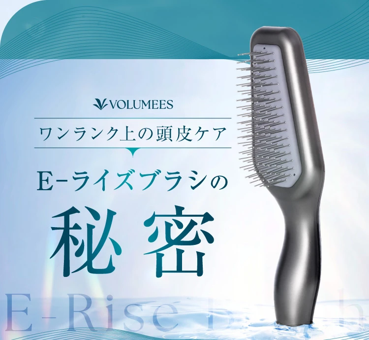 E-ライズブラシの秘密